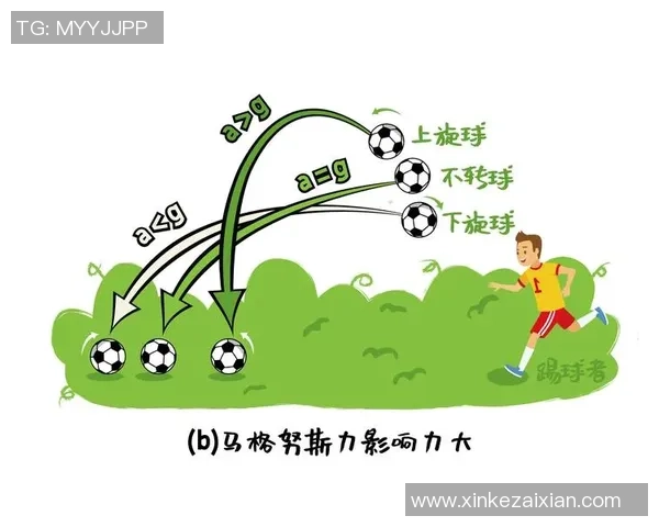 足球机关书揭秘足球战术与技巧的奥秘与应用